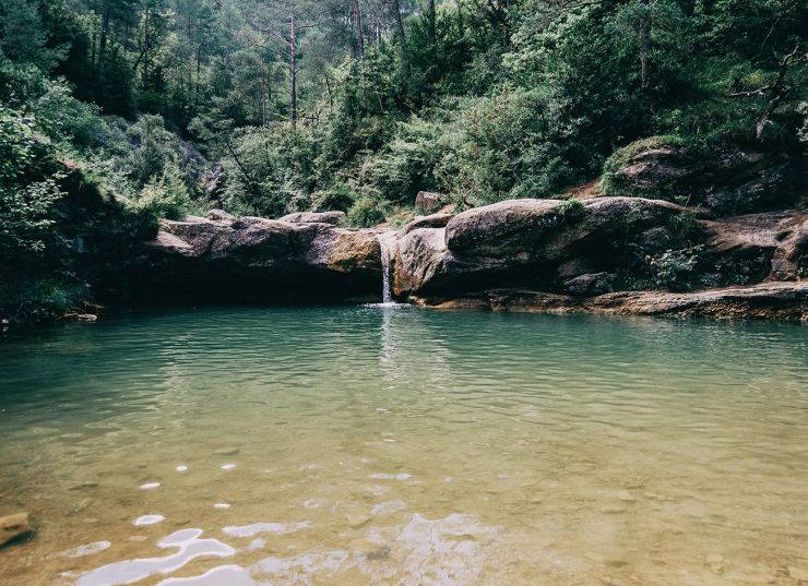 Itinerari de natura pels gorgs del Torrent de la Cabana de Campdevànol